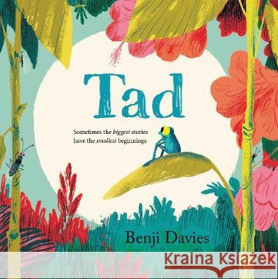 Tad Benji Davies Benji Davies 9780062563590 HarperCollins - książka