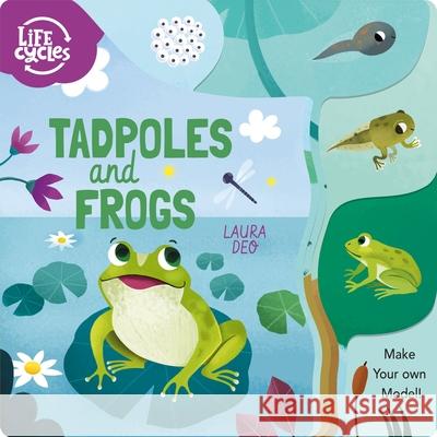 Tadpoles and Frogs: Make Your Own Model! Savery, Annabel 9781398809055 ARC - książka