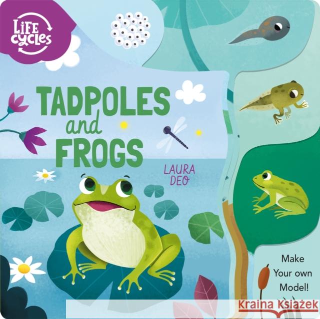 Tadpoles and Frogs: Make Your Own Model! Annabel Savery 9781838579975 Arcturus Publishing Ltd - książka