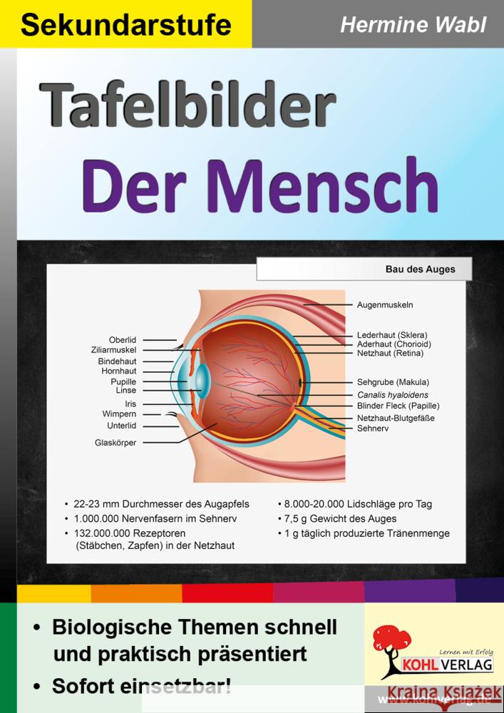 Tafelbilder Der Mensch Wabl, Hermine 9783985583171 KOHL VERLAG Der Verlag mit dem Baum - książka