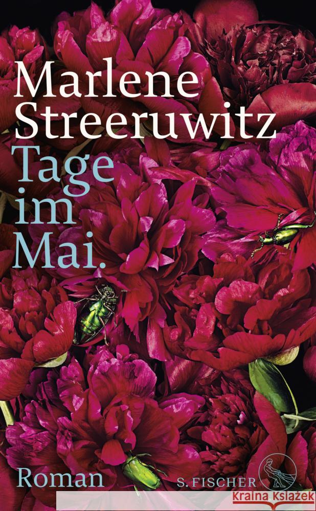 Tage im Mai. Streeruwitz, Marlene 9783103973501 S. Fischer Verlag GmbH - książka