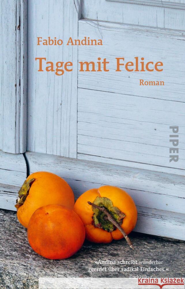 Tage mit Felice Andina, Fabio 9783492317597 Piper - książka