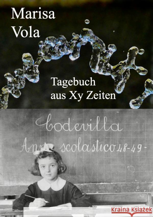 Tagebuch aus Xy Zeiten Hoffmann, Edmund 9783818750084 epubli - książka