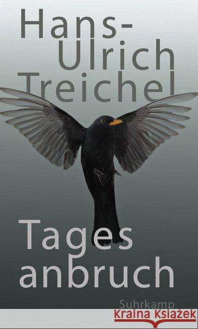 Tagesanbruch Treichel, Hans-Ulrich 9783518425251 Suhrkamp - książka
