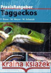 Taggeckos Bruse, Frank Meyer, Michael Schmidt, Wolfgang 9783930612949 Chimaira - książka