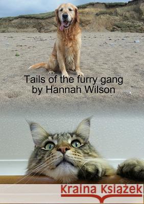 Tails of the furry gang Hannah Wilson 9781291479775 Lulu.com - książka