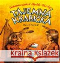 Tajemná krabička Pavel Čech 9788087595756 Petrkov - książka