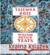 Tajemná růže William Butler Yeats 9788075304377 Malvern - książka