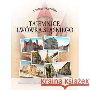 Tajemnice Lwówka Śląskiego WRZESIŃSKI SZYMON 9788373392830 CB - książka