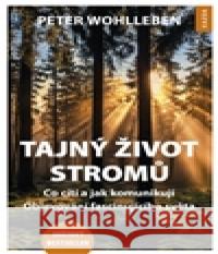 Tajný život stromů Peter Wohlleben 9788090578869 Václav Kazda - książka