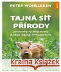 Tajná síť přírody Peter Wohlleben 9788090681965 Nakladatelství Kazda - książka