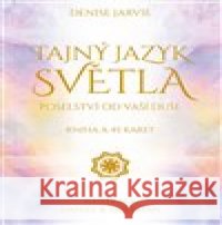 Tajný jazyk světla Daniel B. Holeman 9788073705886 Synergie - książka