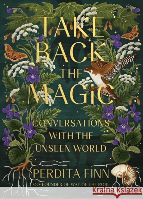 Take Back the Magic: Conversations with the Unseen World Perdita Finn 9780762482504 Running Press,U.S. - książka