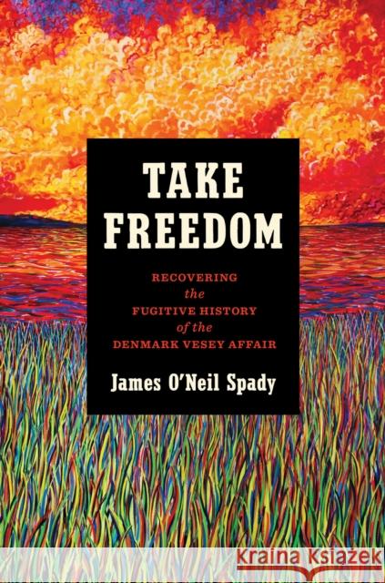 Take Freedom: Recovering the Fugitive History of the Denmark Vesey Affair James O'Neil Spady 9781469686363 University of North Carolina Press - książka