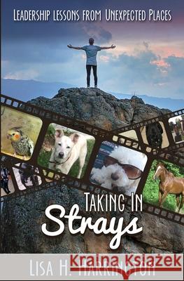 Taking In Strays: Leadership Lessons From Unexpected Places Lisa H. Harrington 9781734383607 Sapphire Enterprises LLC - książka