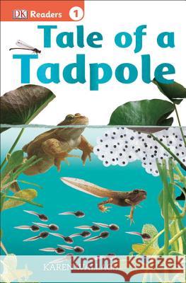Tale of a Tadpole Karen Wallace 9781465435088 DK Publishing (Dorling Kindersley) - książka