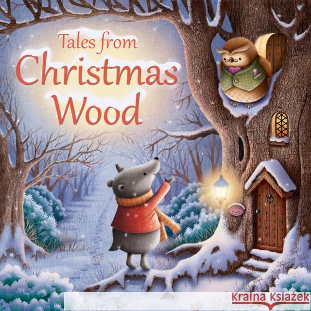 Tales from Christmas Wood Suzy Senior 9780745965468 SPCK Publishing - książka