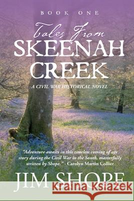 Tales From Skeenah Creek: A Civil War Historical Fiction Novel Jim Shope Monica Collier 9781733355971 Red Press Co - książka