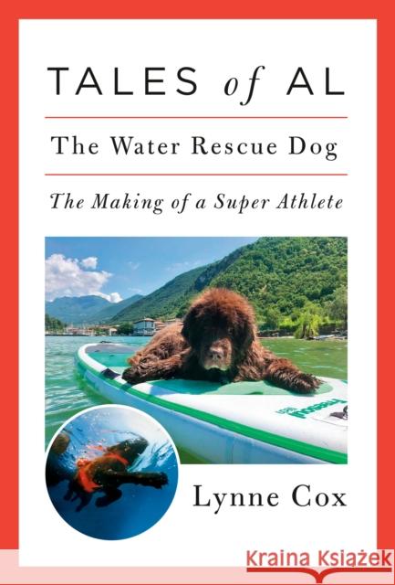 Tales of Al: The Water Rescue Dog Lynne Cox 9780593319376 Random House USA Inc - książka