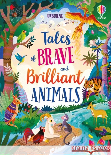 Tales of Brave and Brilliant Animals Lan Cook 9781803706597 Usborne Publishing Ltd - książka