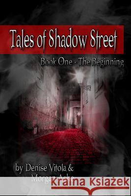 Tales of Shadow Street: Book One The Beginning Ashe, Morgan 9781618771582 Shadow Street Press, LLC - książka
