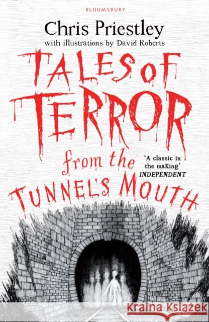 Tales of Terror from the Tunnel's Mouth Chris Priestley, David Roberts 9781408871102 Bloomsbury Publishing PLC - książka