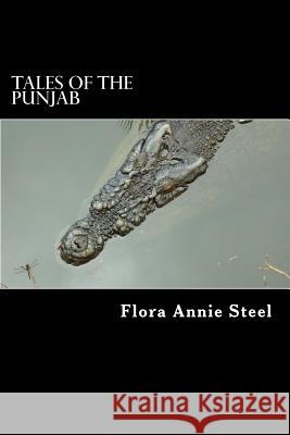 Tales of the Punjab: Folklore of India Flora Annie Steel Alex Struik 9781484175293 Createspace - książka