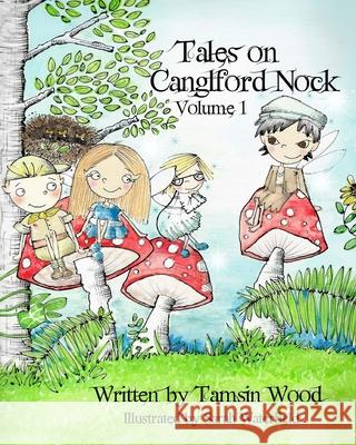 Tales on Canglford Nock Sarah Waterfield Tamsin Wood 9781539707004 Createspace Independent Publishing Platform - książka