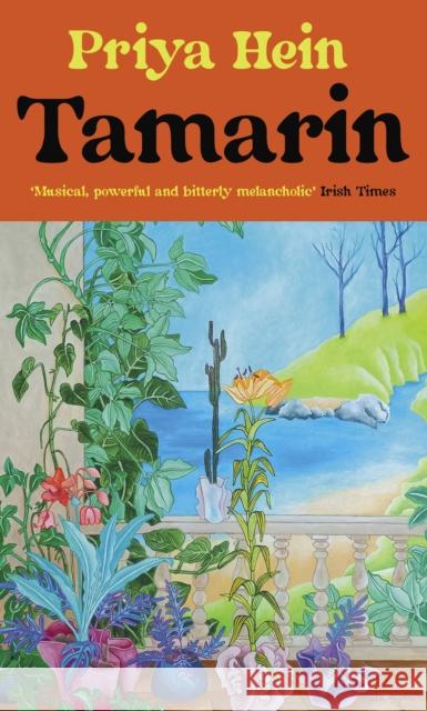 Tamarin Priya (Pontas Agency) Hein 9781911648932 The Indigo Press - książka