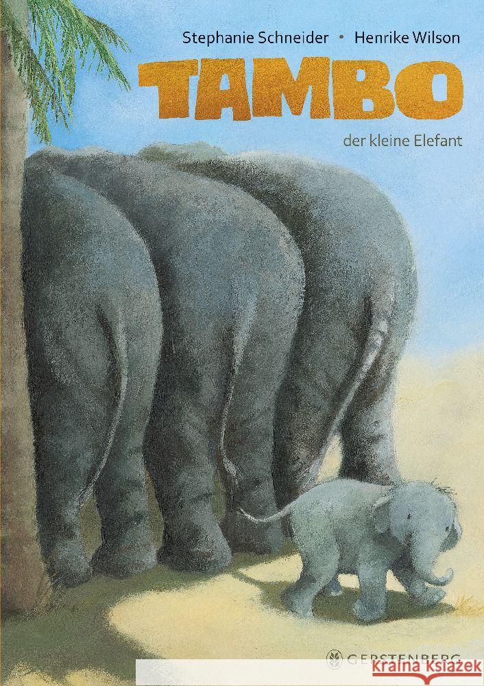 Tambo, der kleine Elefant Schneider, Stephanie 9783836962216 Gerstenberg Verlag - książka