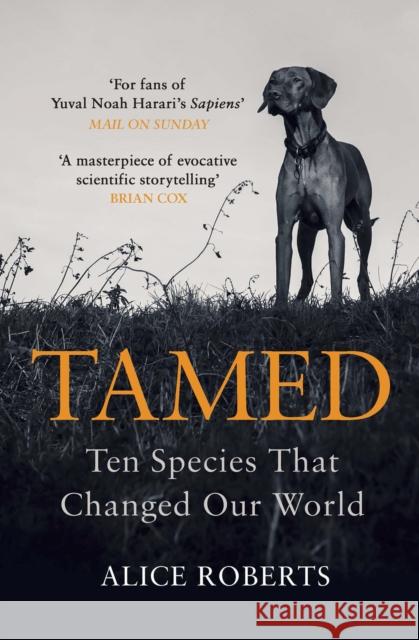 Tamed: Ten Species that Changed our World Alice Roberts 9781786090010 Cornerstone - książka