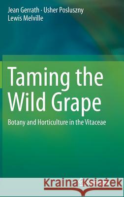 Taming the Wild Grape: Botany and Horticulture in the Vitaceae Gerrath, Jean 9783319243504 Springer - książka