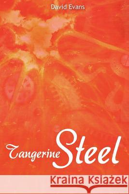 Tangerine Steel: A Life Story David Evans 9781466372764 Createspace - książka