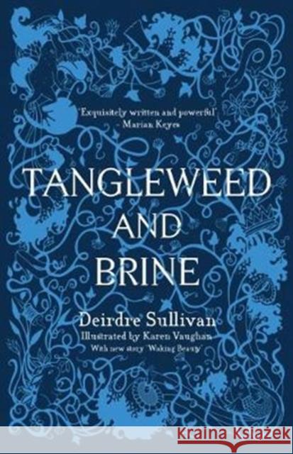 Tangleweed and Brine: YA Book of the Year, Irish Book Awards Deirdre Sullivan 9781912417117 Little Island - książka