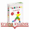Tangram big ALEX  5906018013467 Alexander