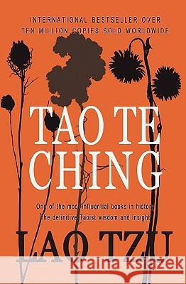 Tao Te Ching Lao Tzu 9781451563818 Createspace - książka