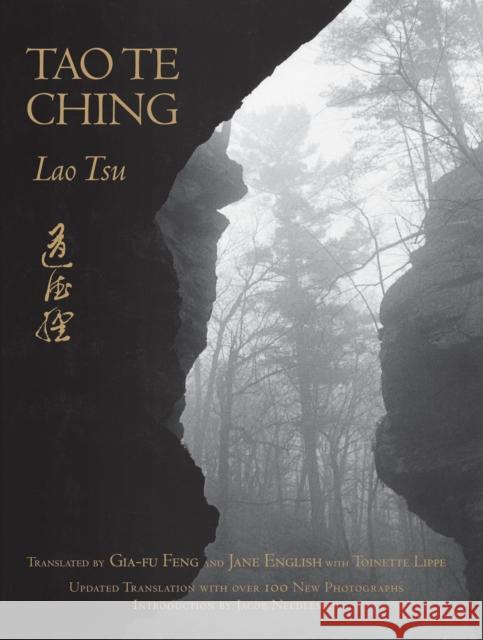 Tao Te Ching: With Over 150 Photographs by Jane English Lao Tzu 9780307949301 Random House USA Inc - książka