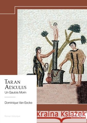 Taran Aesculus: Un Gaulois Morin Van Eecke, Dominique 9791042706845 Nombre7 - książka