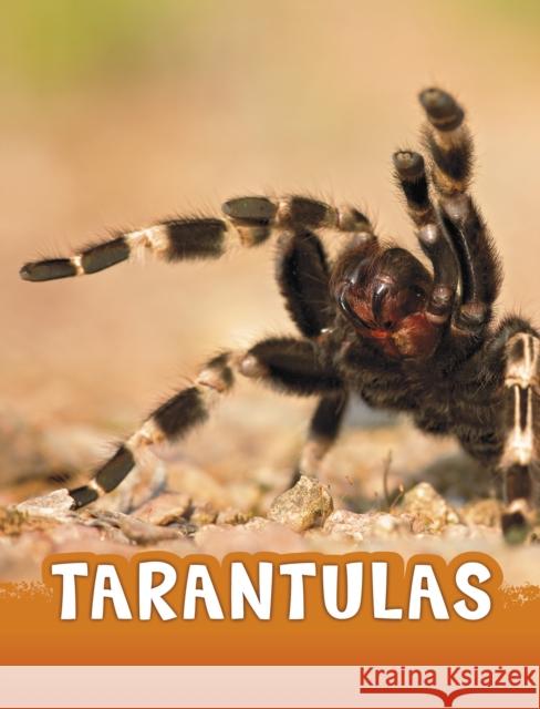 Tarantulas Jaclyn Jaycox 9781474796224 Capstone Global Library Ltd - książka