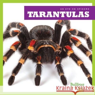 Tarantulas Kristine Spanier 9781624967948 Bullfrog Books - książka