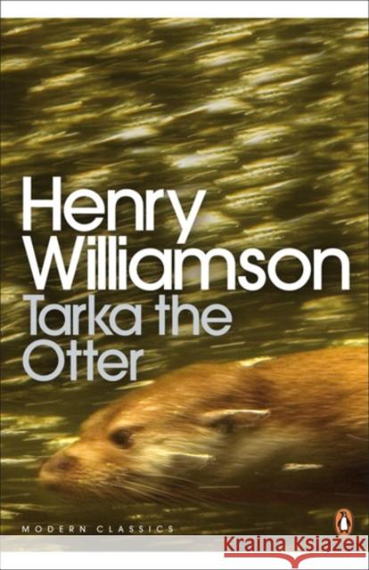 Tarka the Otter Henry Williamson 9780141190358 Penguin Books Ltd - książka