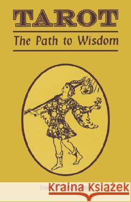 Tarot: The Path to Wisdom Joseph D'Agostino 9780877288190 Weiser Books - książka