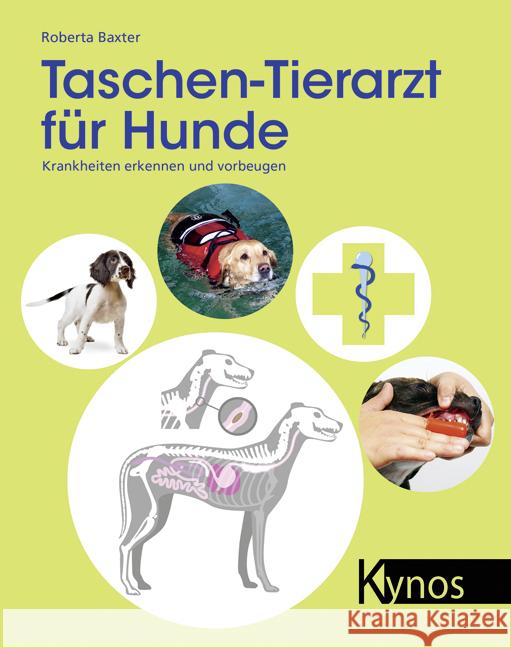 Taschen-Tierarzt für Hunde : Krankheiten erkennen und vorbeugen Baxter, Roberta 9783954640249 Kynos - książka