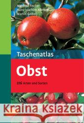 Taschenatlas Obst : 216 Arten und Sorten Fischer, Manfred Albrecht, Hans-Joachim Geibel, Martin 9783800146703 Ulmer (Eugen) - książka