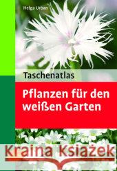 Taschenatlas Pflanzen für den weißen Garten : 156 Pflanzenporträts Urban, Helga   9783800146420 Ulmer (Eugen) - książka