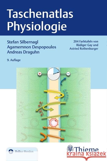 Taschenatlas Physiologie : Mit Online-Zugang Silbernagl, Stefan 9783132410305 Thieme, Stuttgart - książka