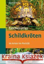 Taschenatlas Schildkröten : 111 Arten im Porträt Rogner, Manfred   9783800158669 Ulmer (Eugen) - książka
