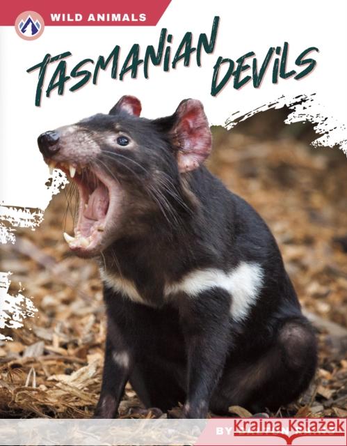 Tasmanian Devils Dalton Rains 9798892505888 Apex - książka