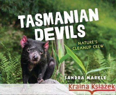 Tasmanian Devils: Nature\'s Cleanup Crew Sandra Markle 9781728499925 Lerner Publications - książka