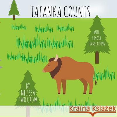 Tatanka Counts Melissa Tw 9781987668575 Createspace Independent Publishing Platform - książka